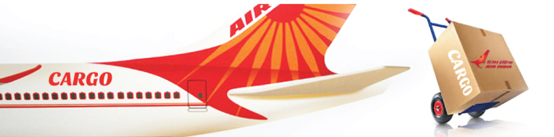 air india plane